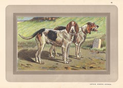 1930s Animal Prints