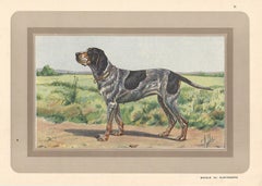 1930s Animal Prints