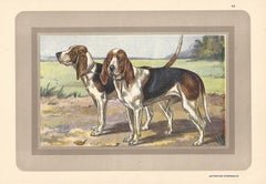 Artesiens Normands- Norman Artesian Bassets, French dog chromolithograph, 1930s