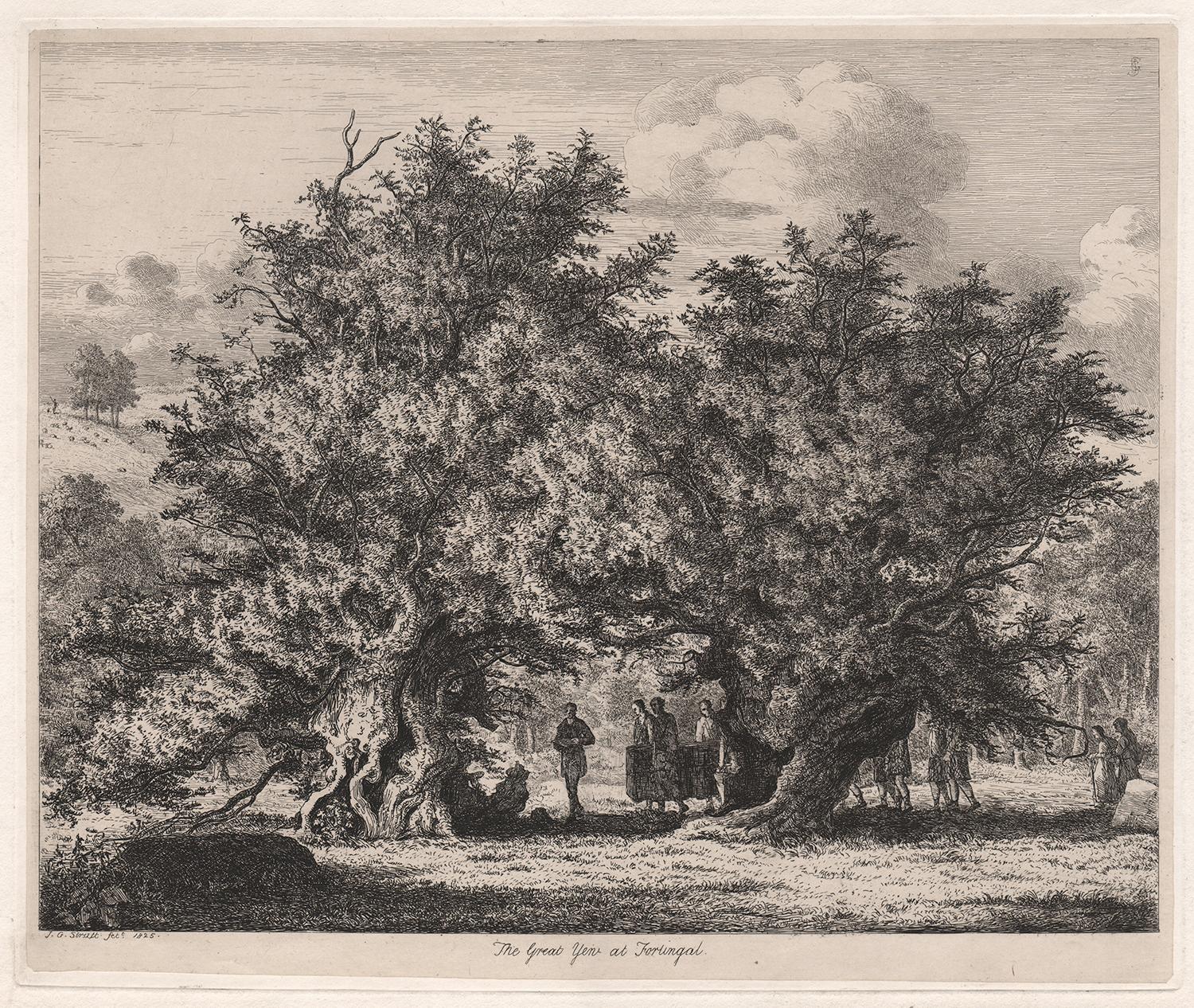 'The Great Yew at Forlingal'

India-laid etching, 1825, by Jacob George Strutt (1784-1867).

From Strutt's series of etchings titled 'Sylva Britannica or Portraits of Forest Trees'. 

The Fortingall Yew is an ancient yew in the churchyard of the