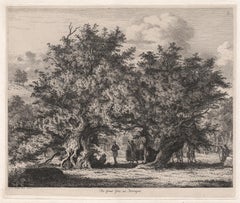 The Great Yew at Forlingal, tree etching by Jacob George Strutt, 1825