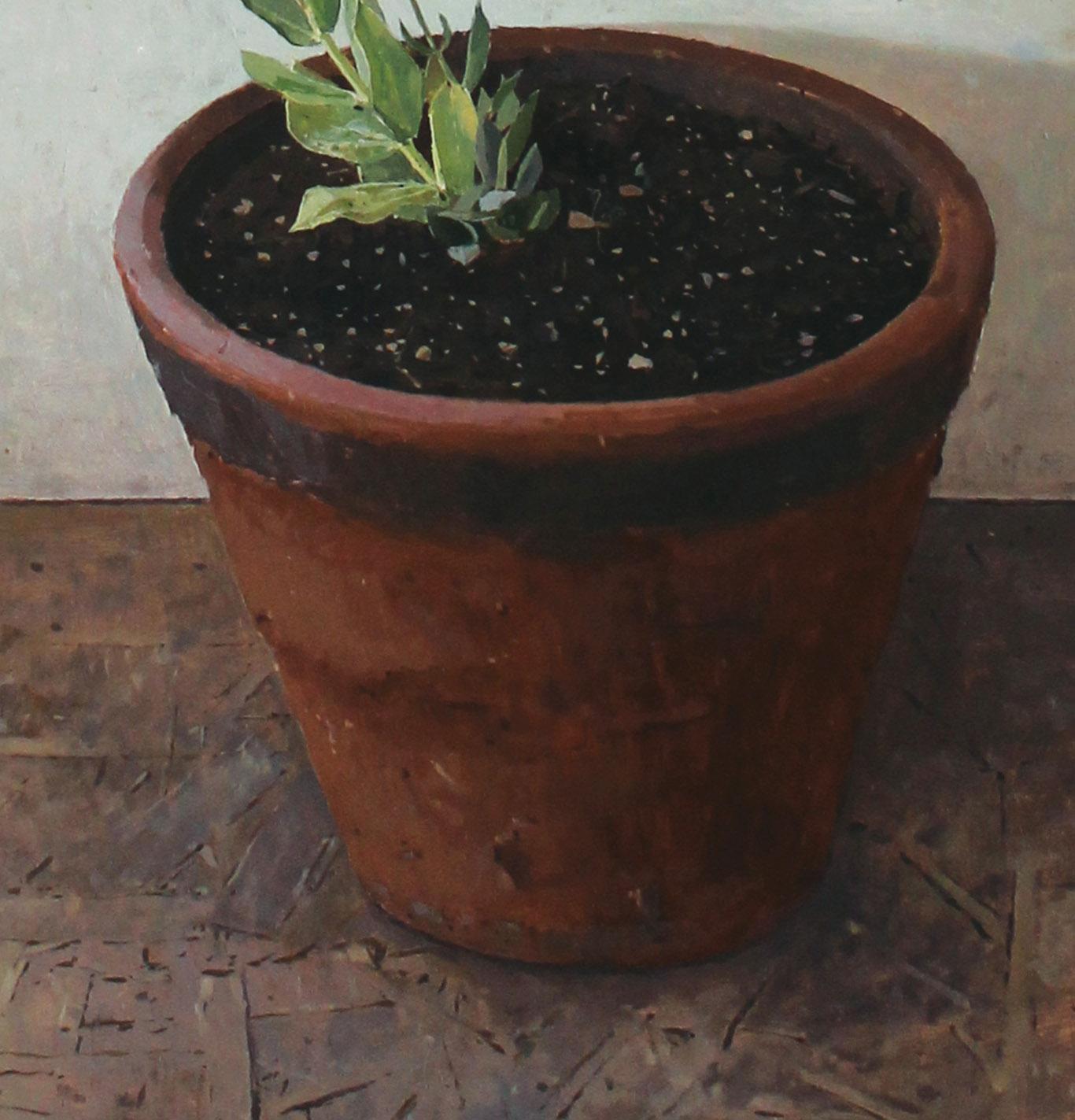 simmons flowers