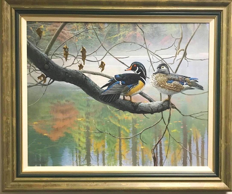 Michael Budden Wildlife Realistic Landscape Painting Of Wood Ducks By Michael Budden For Sale At 1stdibs