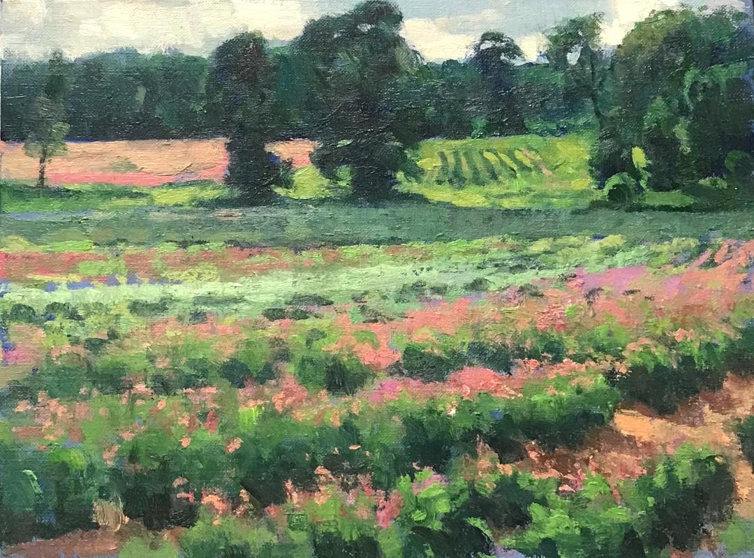 An oil painting on canvas that showcases the beautiful light of a summer day shinning on a field of flowers. This painting was painted en plein air on location in an Impressionistic style and is being sold unframed.

ARTIST'S STATEMENT
I have been