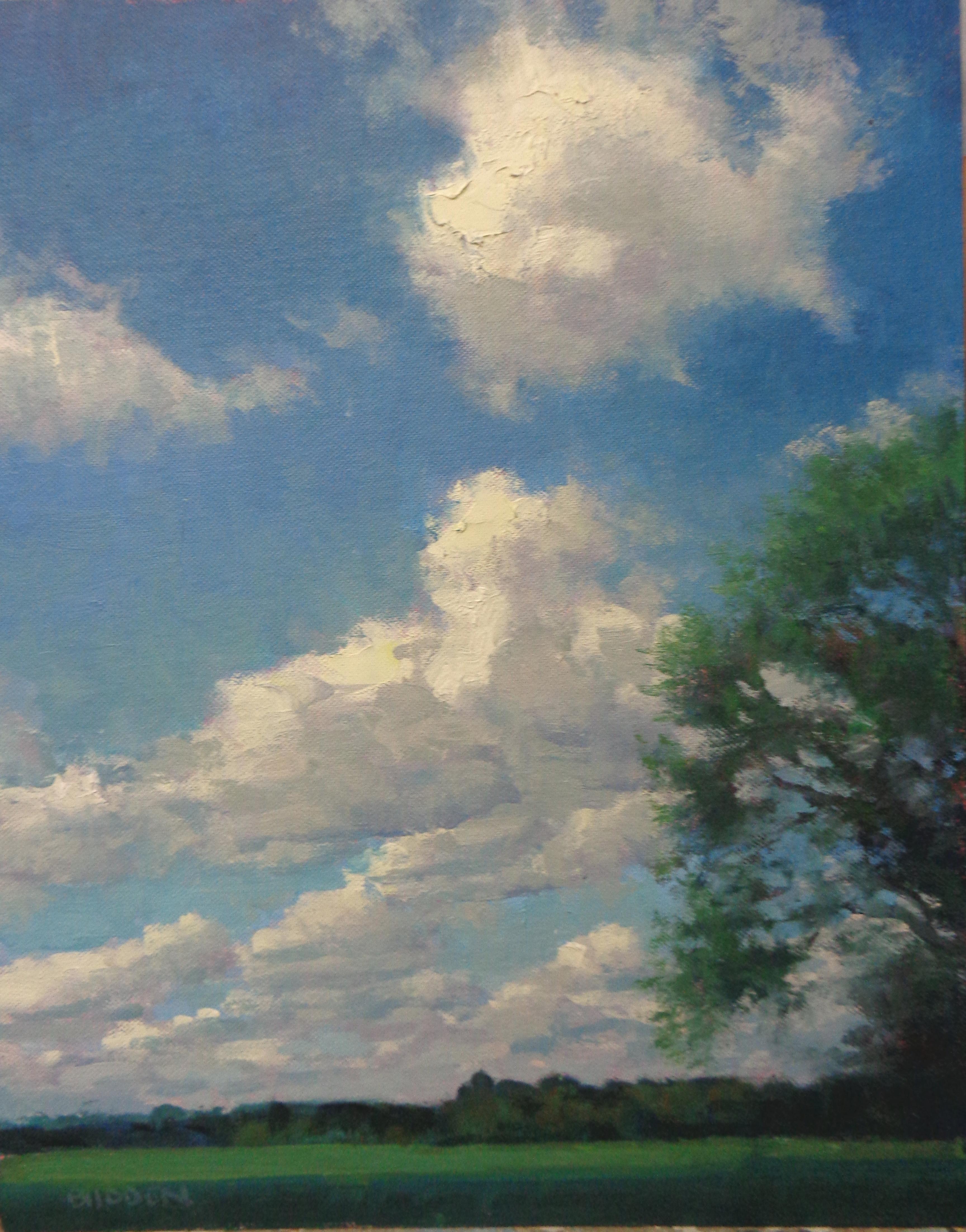 Impressionistic Landscape Oil Painting Summer Sky by Michael Budden  1