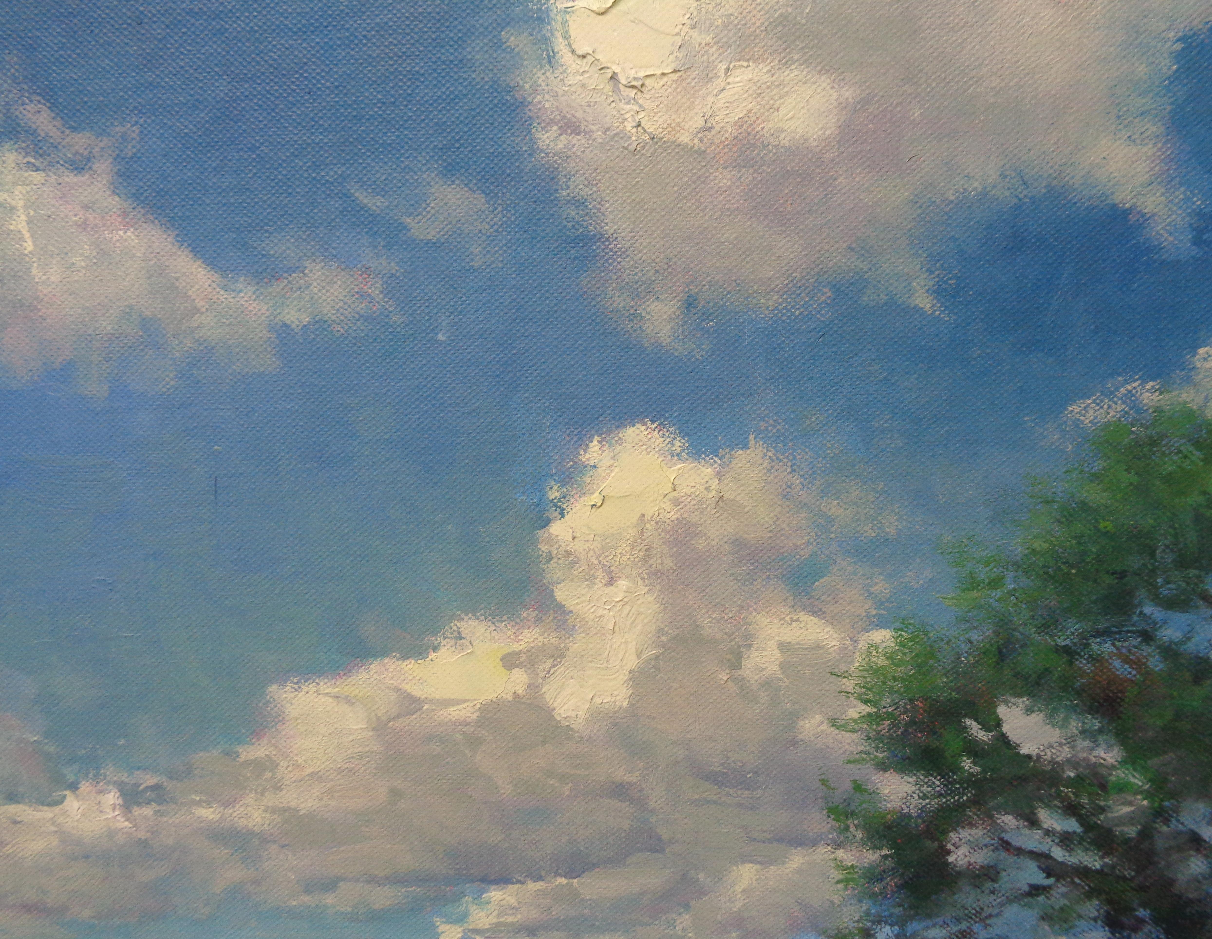 Impressionistic Landscape Oil Painting Summer Sky by Michael Budden  3