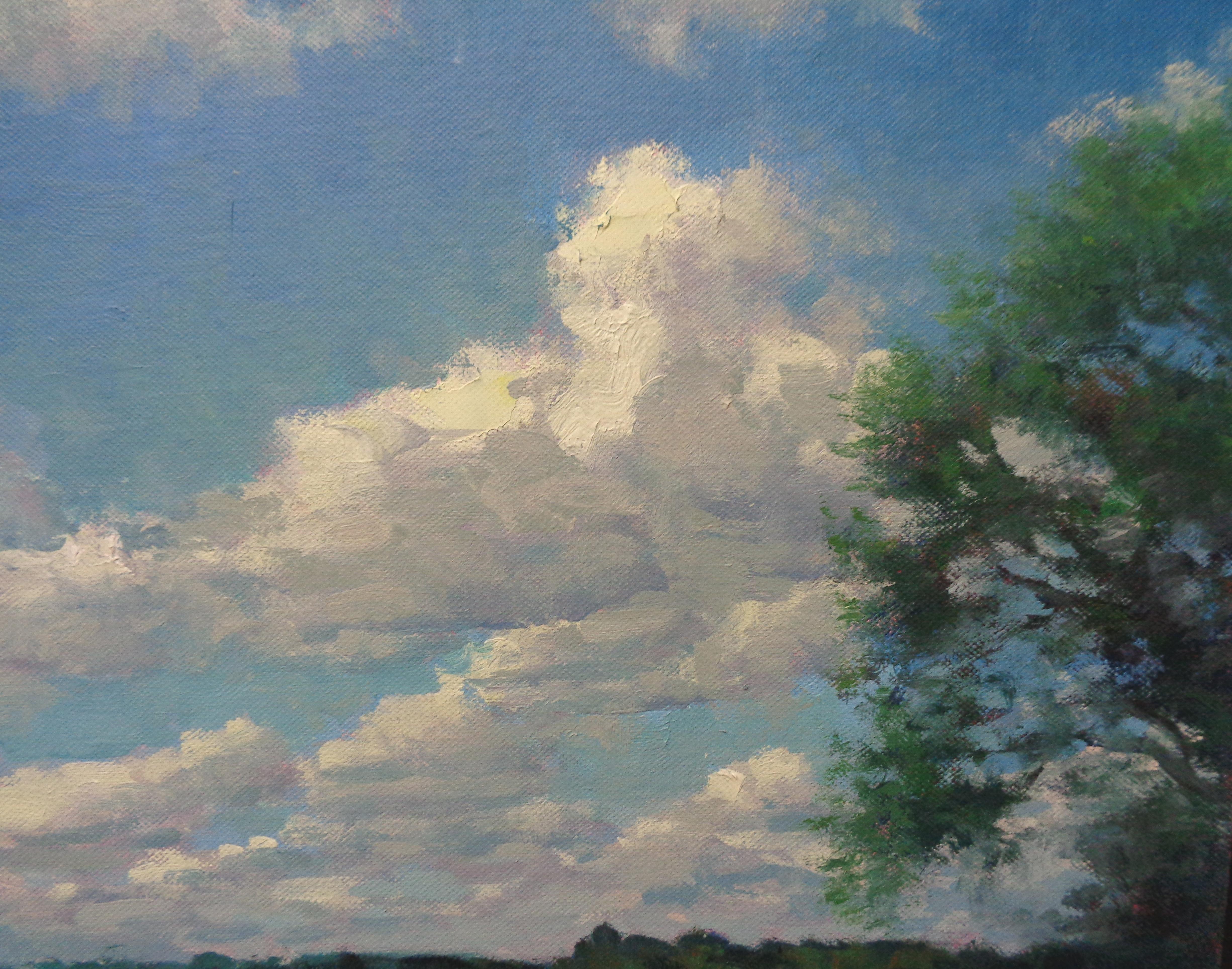 Impressionistic Landscape Oil Painting Summer Sky by Michael Budden  4
