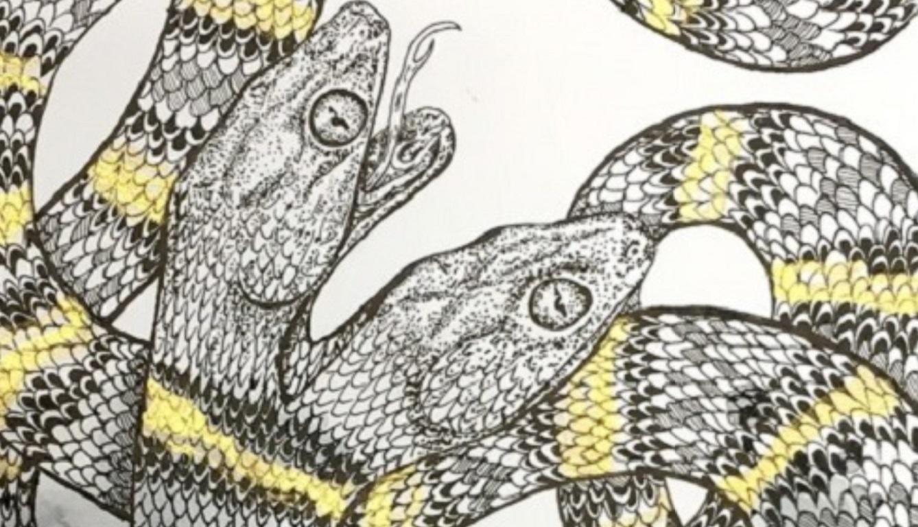 Two Headed Snake - Gray Animal Art by Giulia Ronchetti