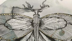 Strange Butterfly