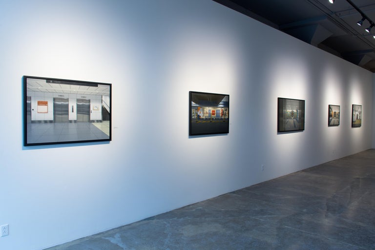 Peter Harris Level 4 (with Paterson Ewen) For Sale at 1stDibs