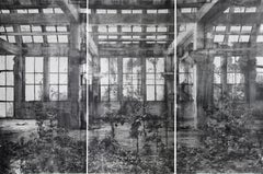 Behind Glass, (Triptych)