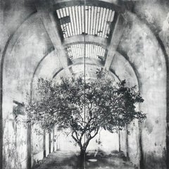 Lemon Tree, (Diptych)