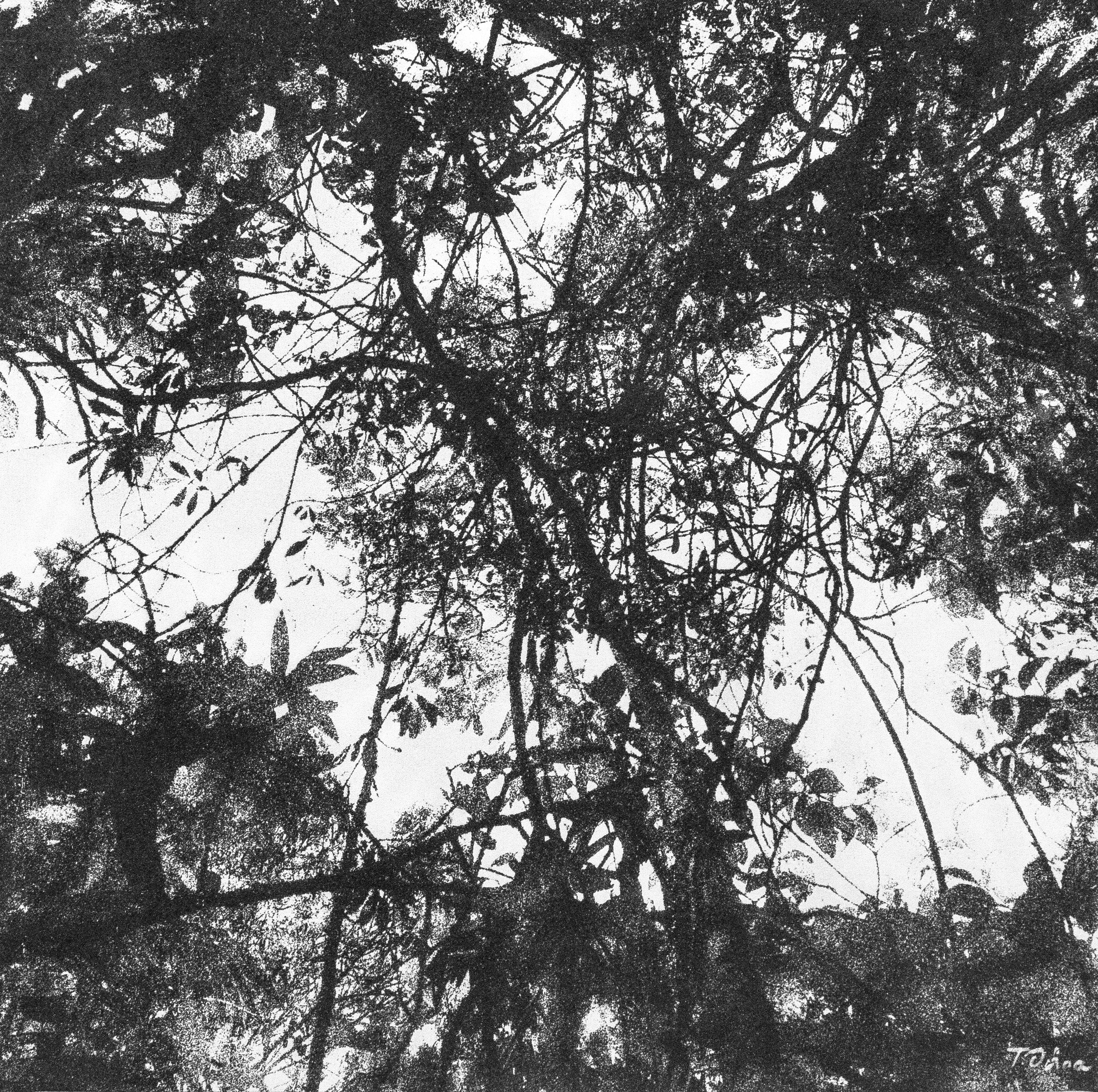 Tomás Ochoa Black and White Photograph - Sonoridad del Fuego Negro #16