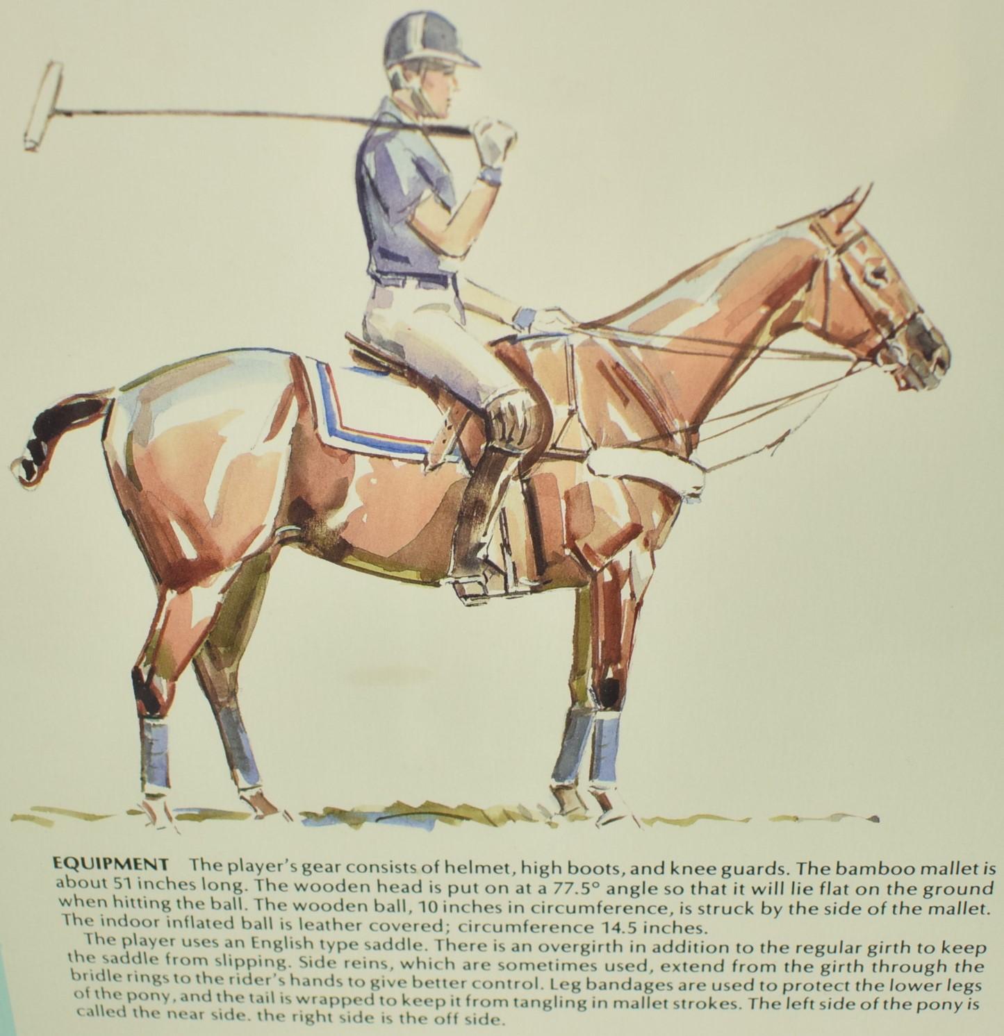 Sam Savitt's 'Guide To Polo' circa 1987 Framed Poster by Sam Savitt (1917-2000) 5