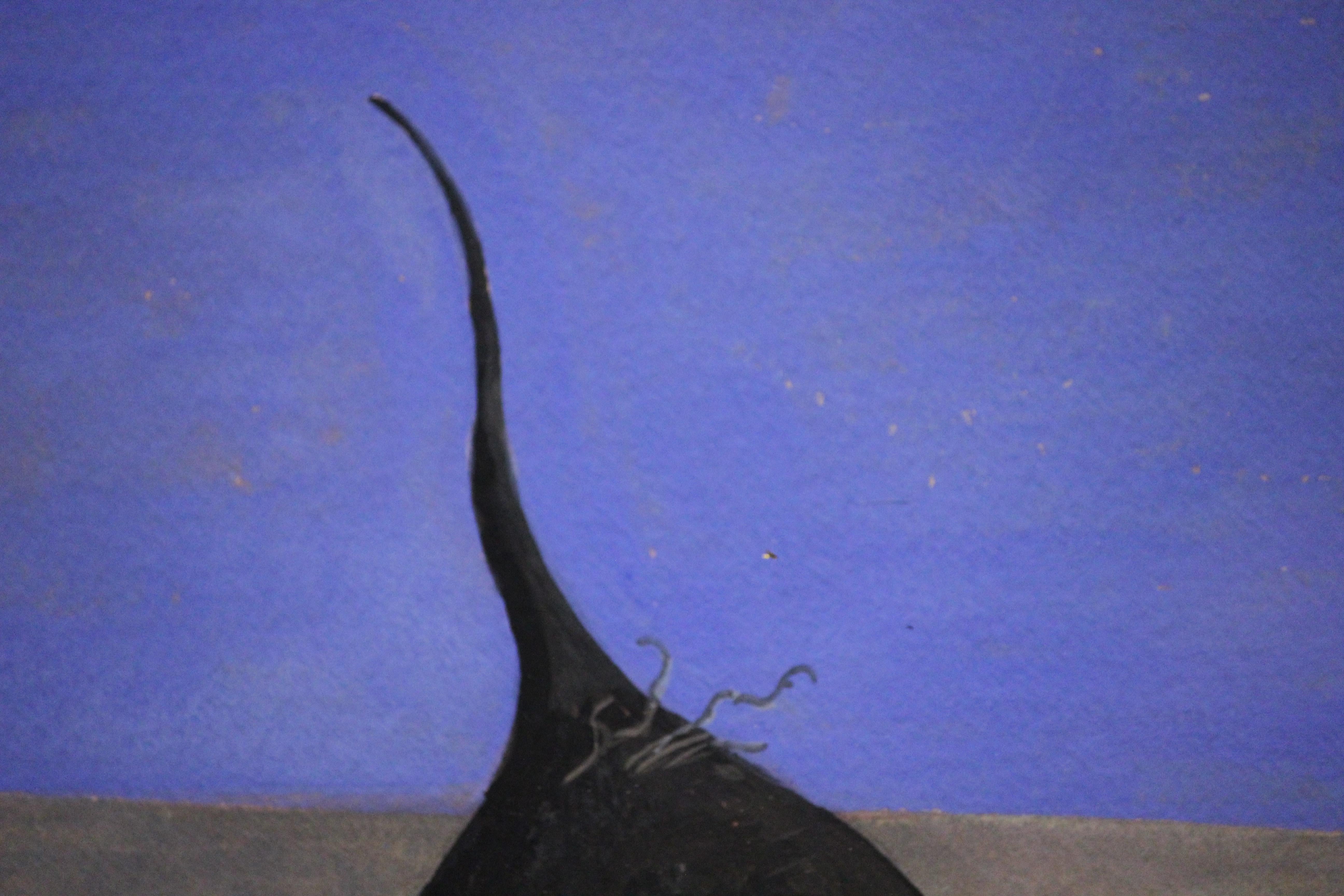martha paxton artist