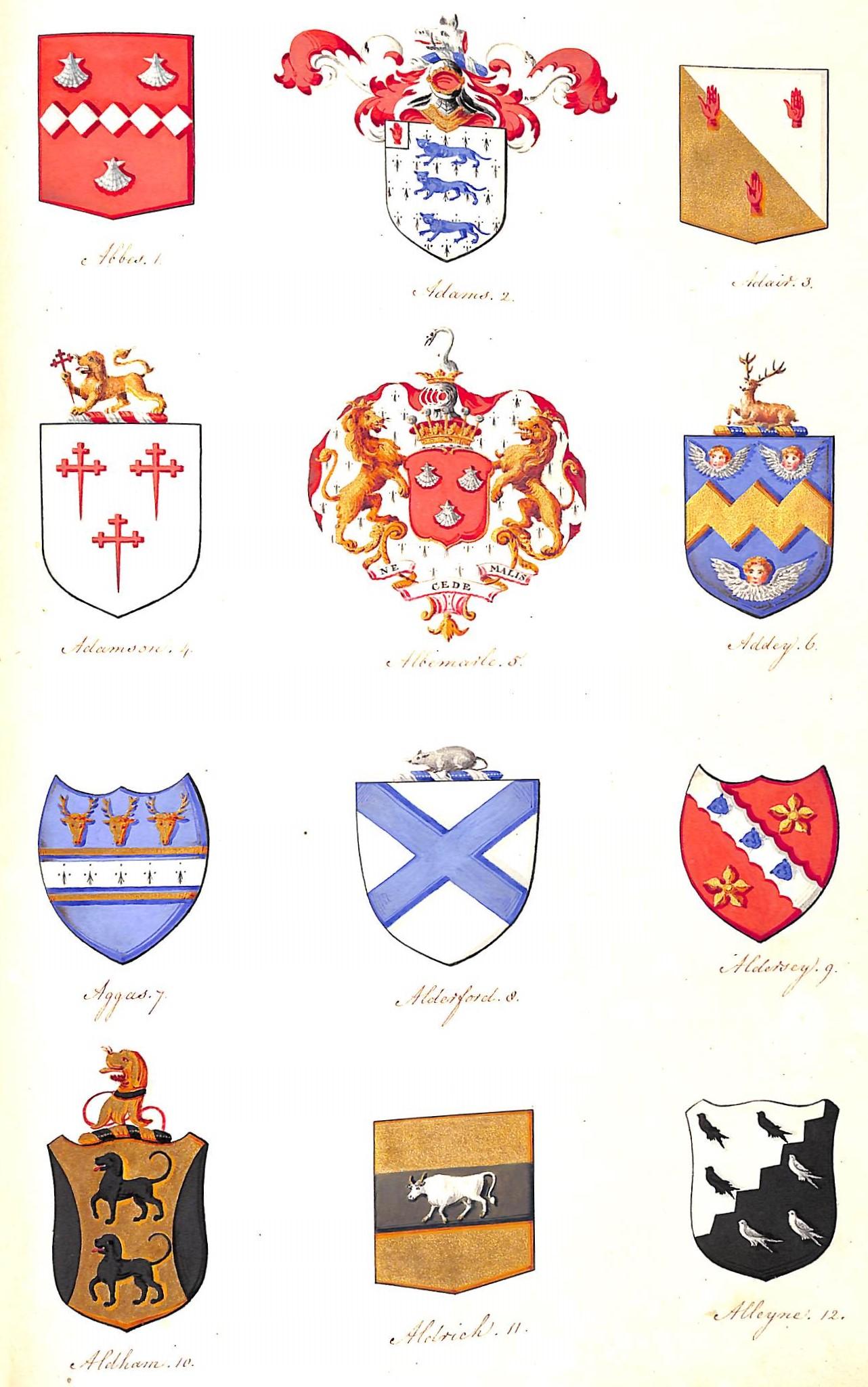 Album - Armorial Album - Gris Figurative Art par Unknown