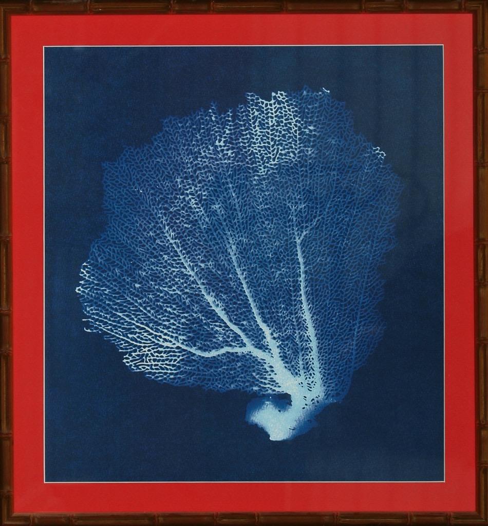 Silk Screen Blue Coral Fan w/ Gilt Bamboo Frame - Art by Unknown