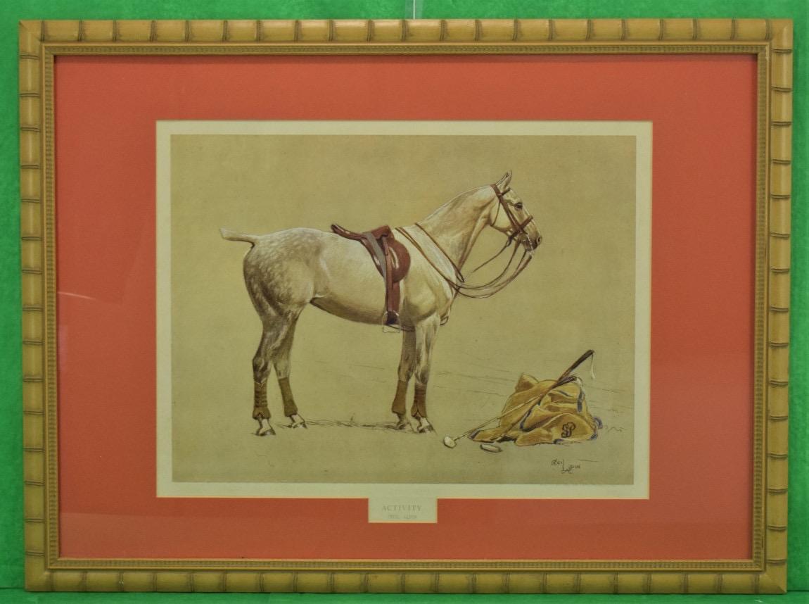 "Cecil Aldin 'Activity' c1932 Polo Pony Hand- Colour Plate"