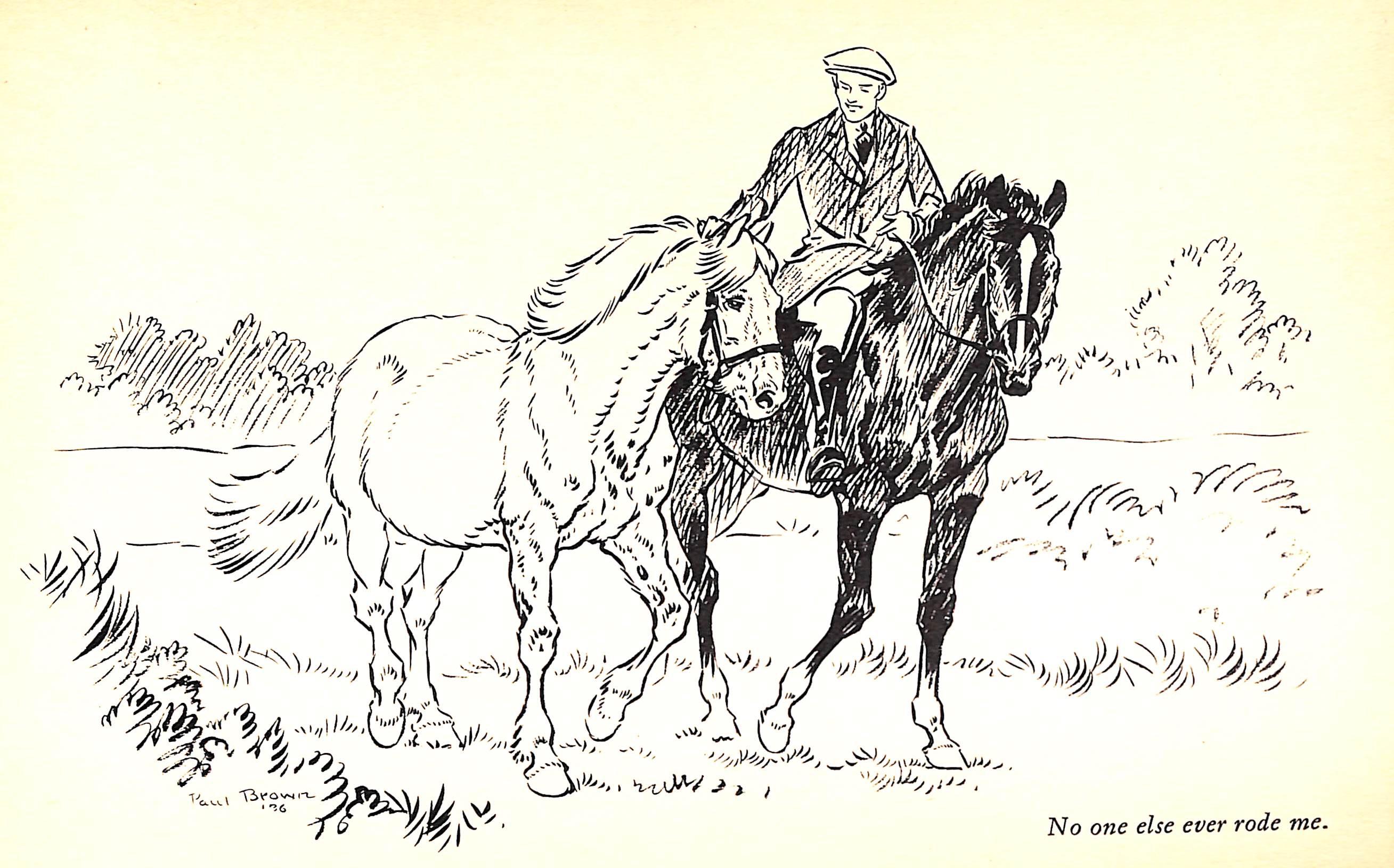 Jock: The King's Pony w/ Original Cover Artwork by Paul Brown For Sale 5