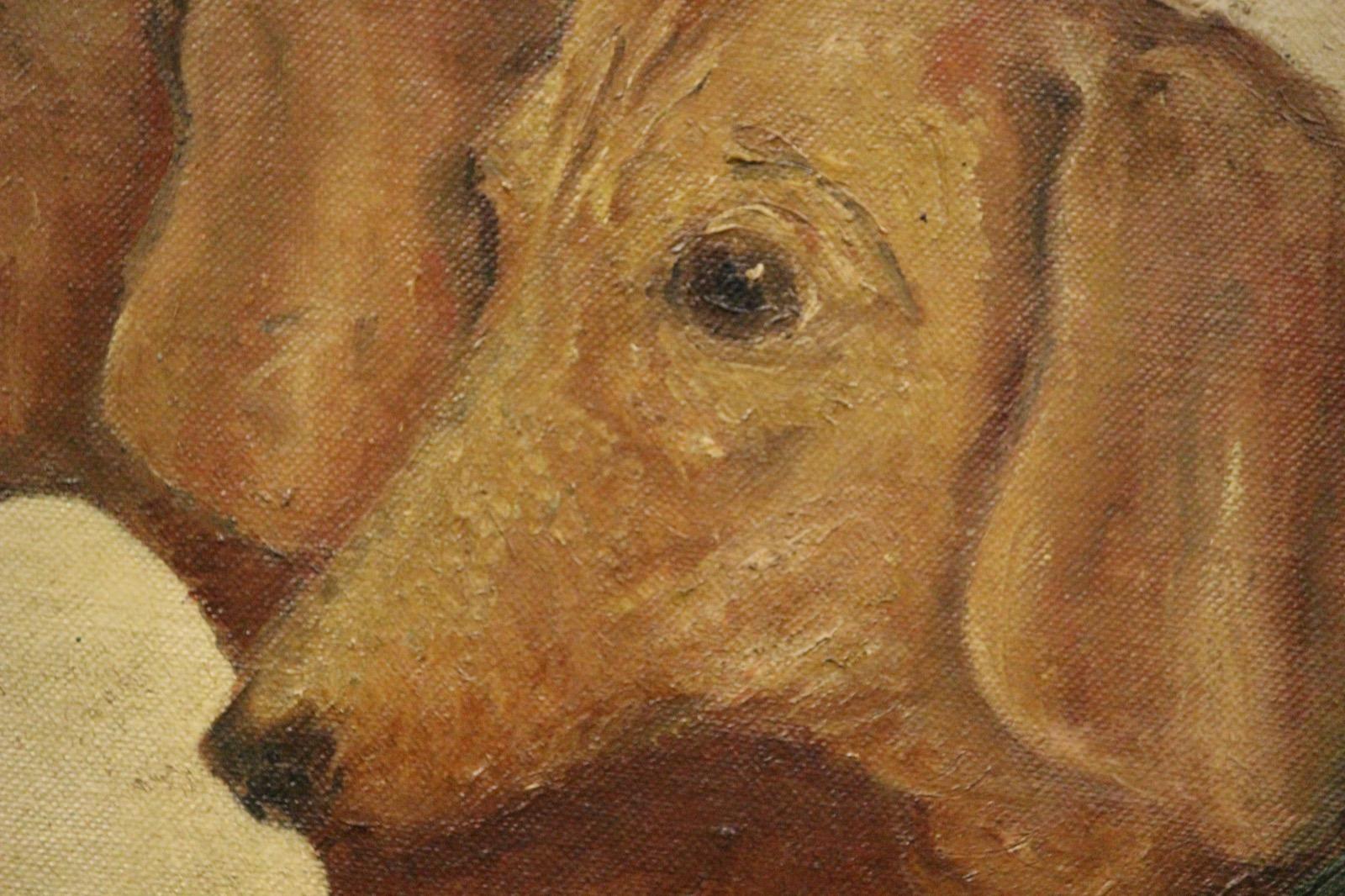 vogue dachshund print