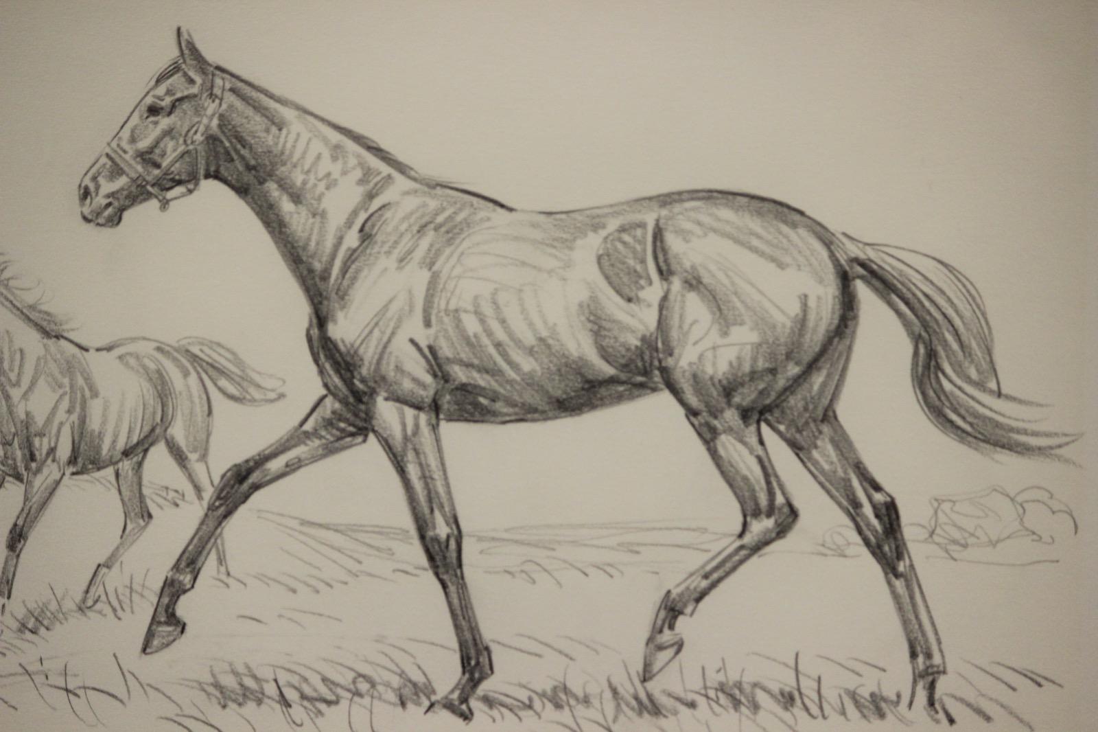 Chieftan-Colt Disegno a matita di Sam Savitt (1917-2000) 2