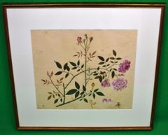 Antique Monthly Rose Chinese Hand-Watercolour 19thc Painting