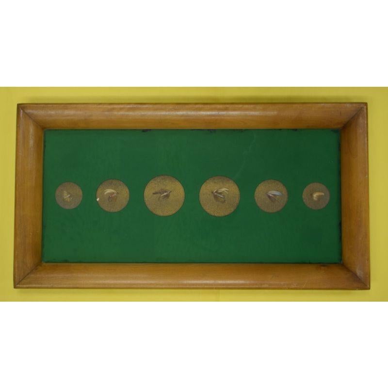 "(6) Mouches à truites encadrées et montées sur mesure"". - Art de Unknown