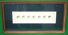 Vintage "7 Wet Trout Flies" 1997 Watercolour by (British, Harry Spencer)