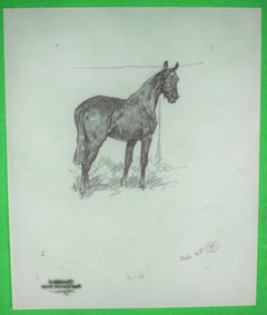 Vintage Paul Brown Polo Pencil On Acetate Drawing #15