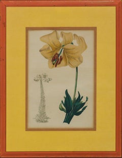 Vintage "Orchid"