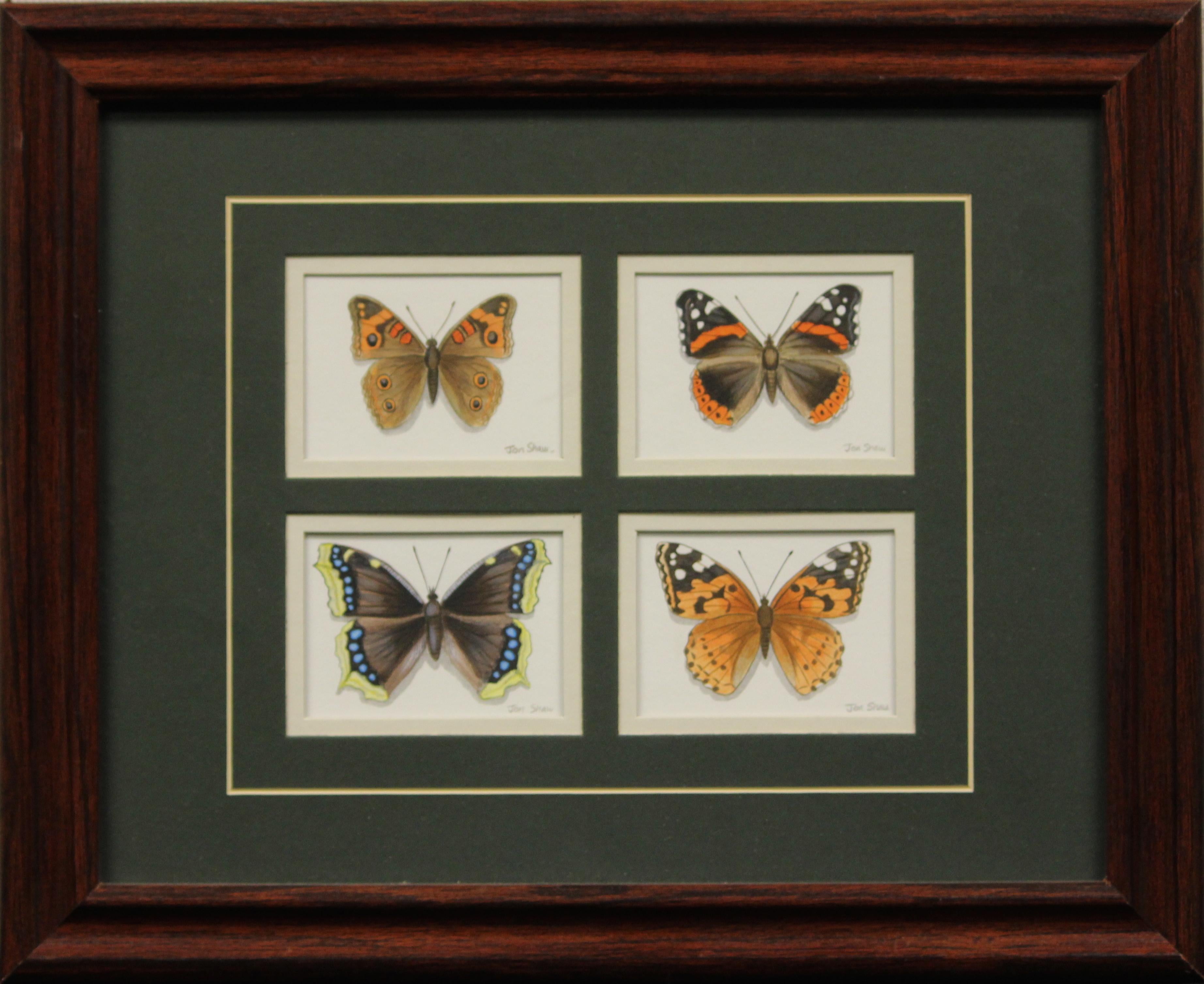 Quatre papillons Aquarelle de Jon Shaw - Art de Jonathan Shaw