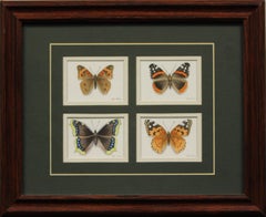 Vintage Four Butterflies Watercolour by Jon Shaw
