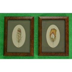 Vintage "Pair x Pheasant Feathers c1998 Watercolours" by Harry Spencer