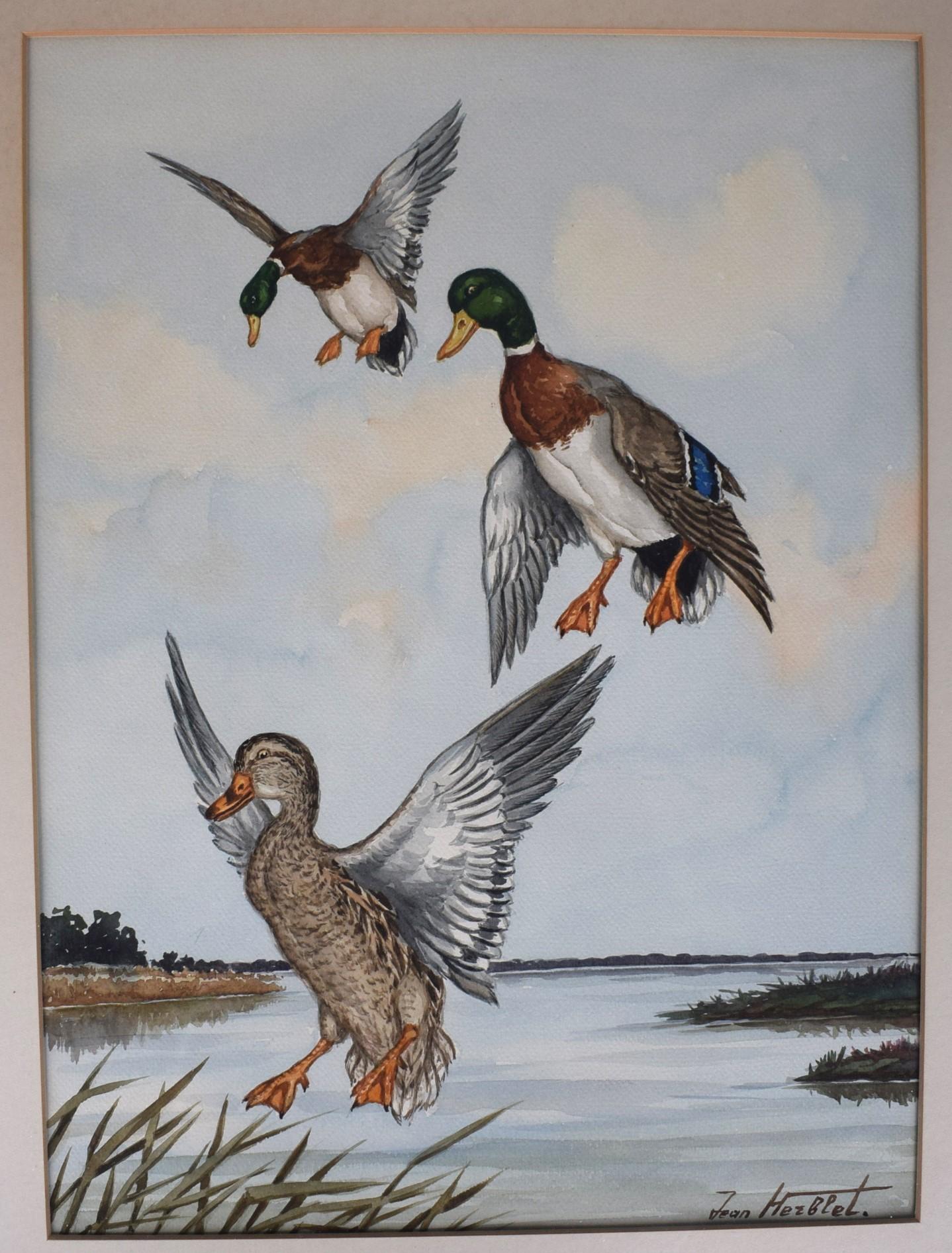 Aquarelle 3 canards en vol de Jean Herblet Ex- C.Z. The Collective en vente 1