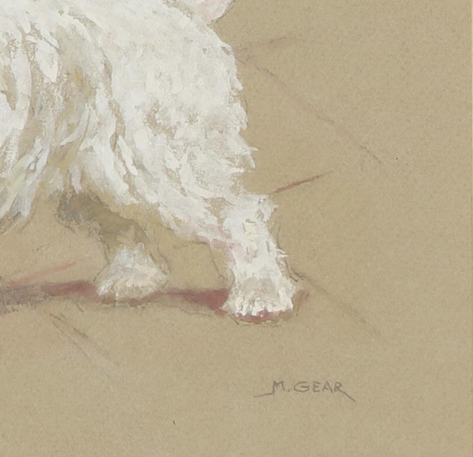 Bodycolour „A West Highland Terrier“ von Mabel Gear 2