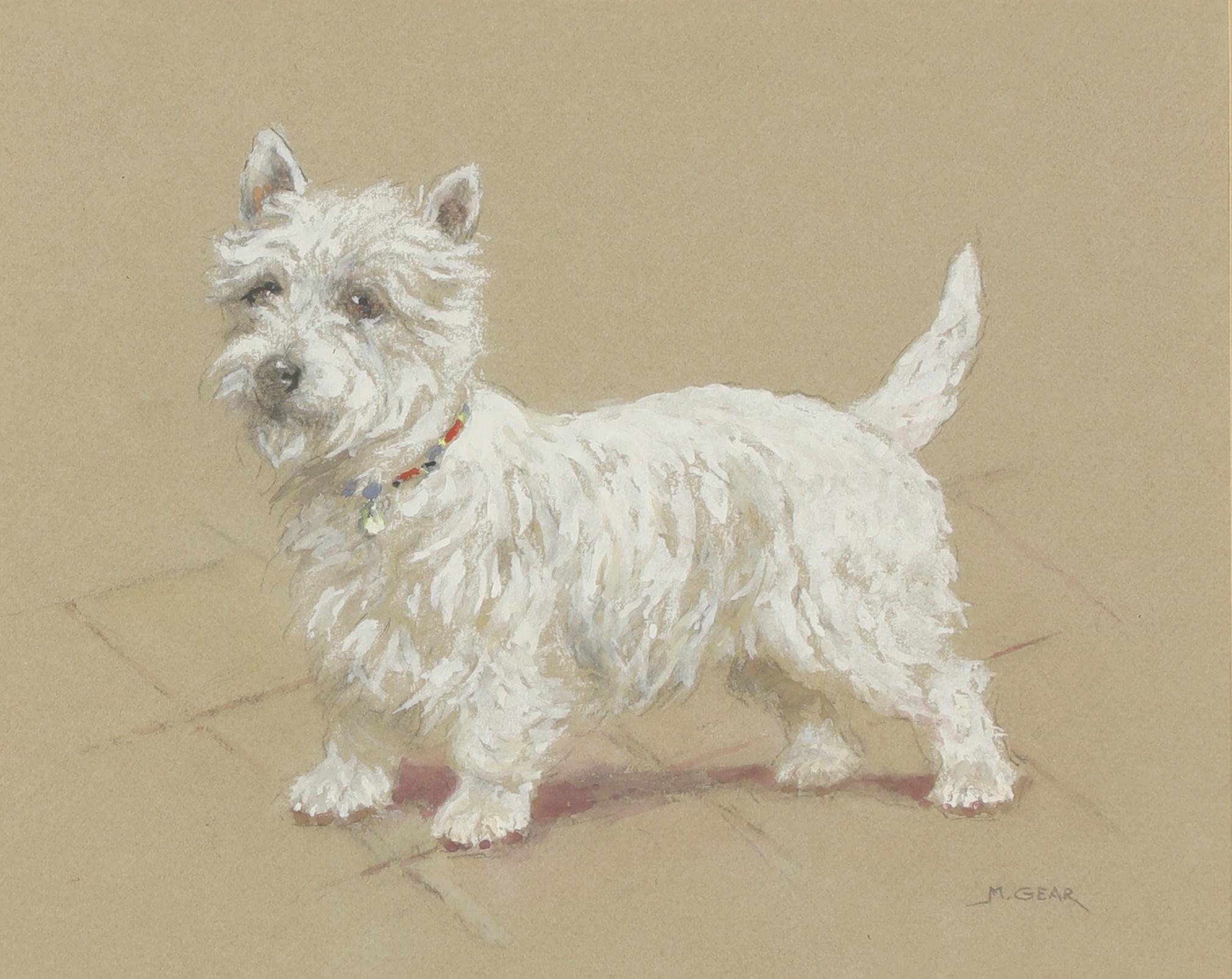 Bodycolour „A West Highland Terrier“ von Mabel Gear 1