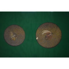 "(6) Custom Framed & Mounted Trout Flies"