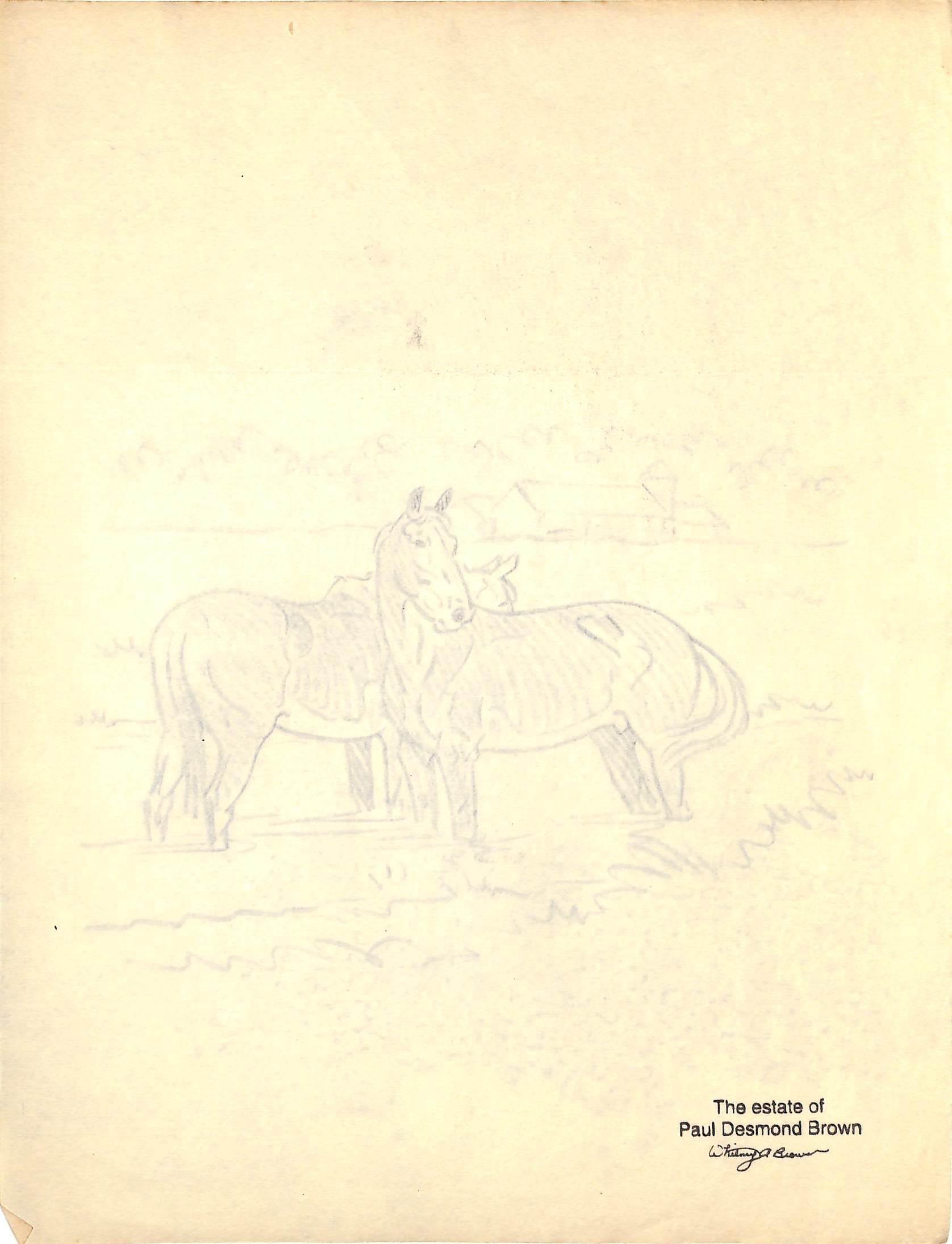 Original 1944 Pencil Drawing From Hi, Guy! The Cinderella Horse By Paul Brown 17 For Sale 3