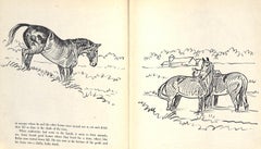 Original 1944 Pencil Drawing From Hi, Guy! The Cinderella Horse By Paul Brown 17