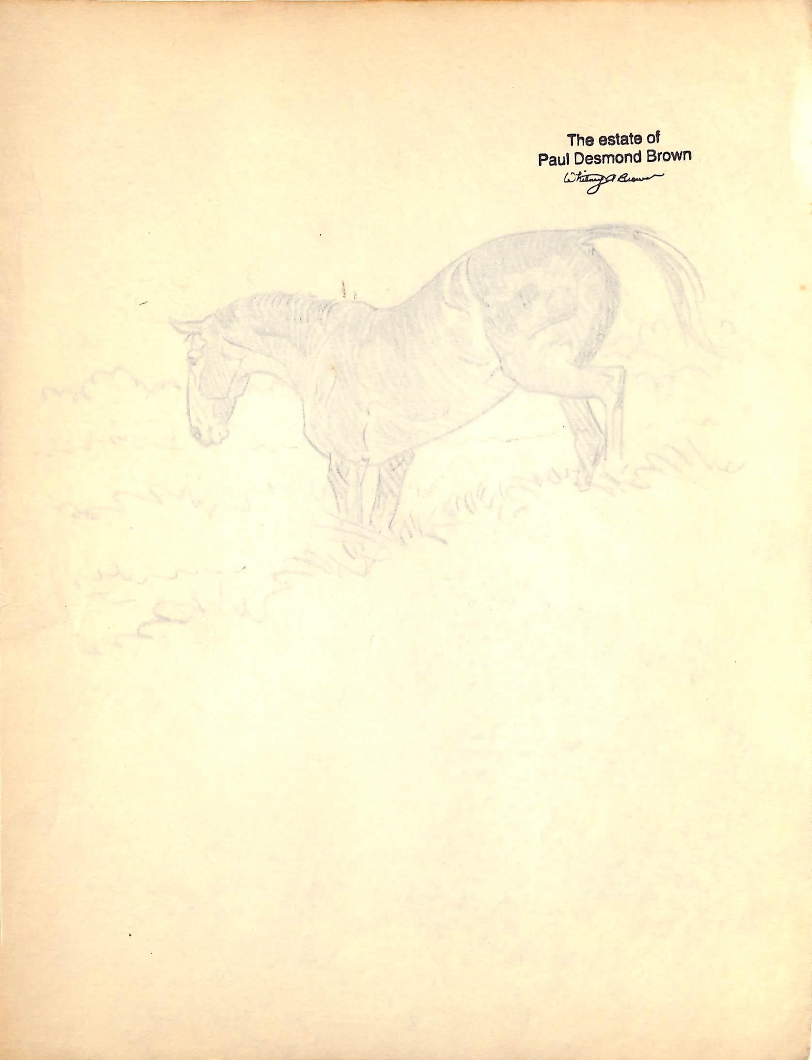 Original 1944 Pencil Drawing From Hi, Guy! The Cinderella Horse By Paul Brown 18 For Sale 4