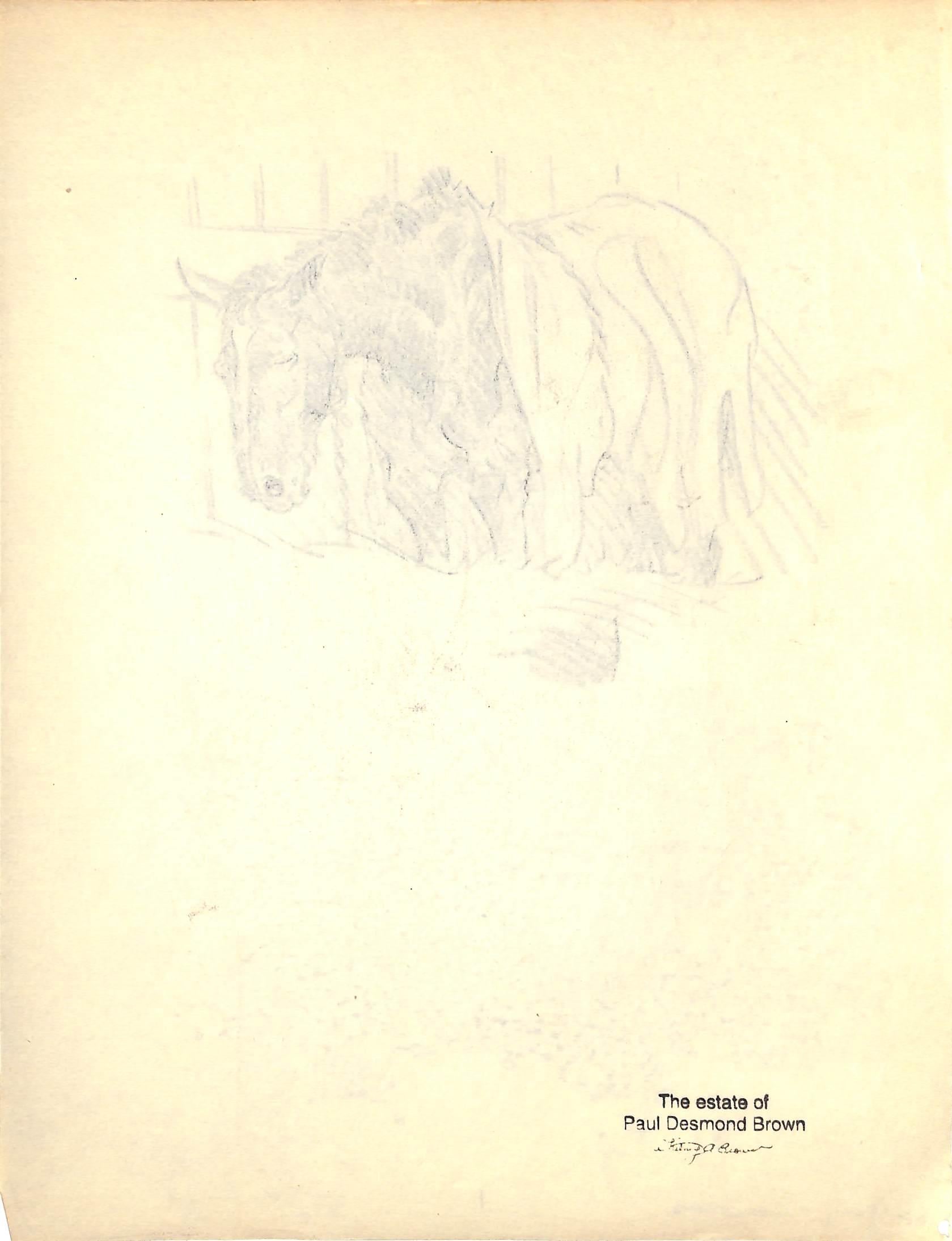 Original 1944 Pencil Drawing From Hi, Guy! The Cinderella Horse By Paul Brown 19 For Sale 2