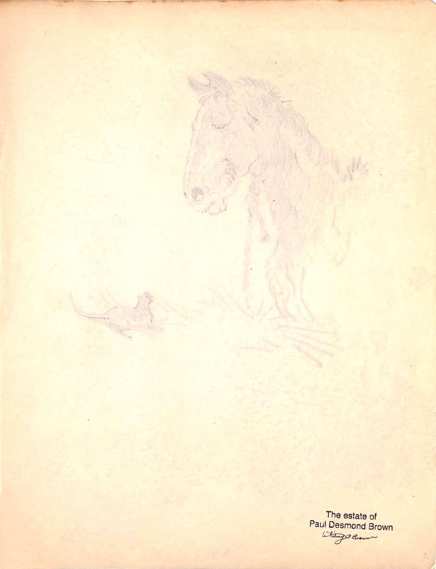 Original 1944 Pencil Drawing From Hi, Guy! The Cinderella Horse By Paul Brown 31 For Sale 1