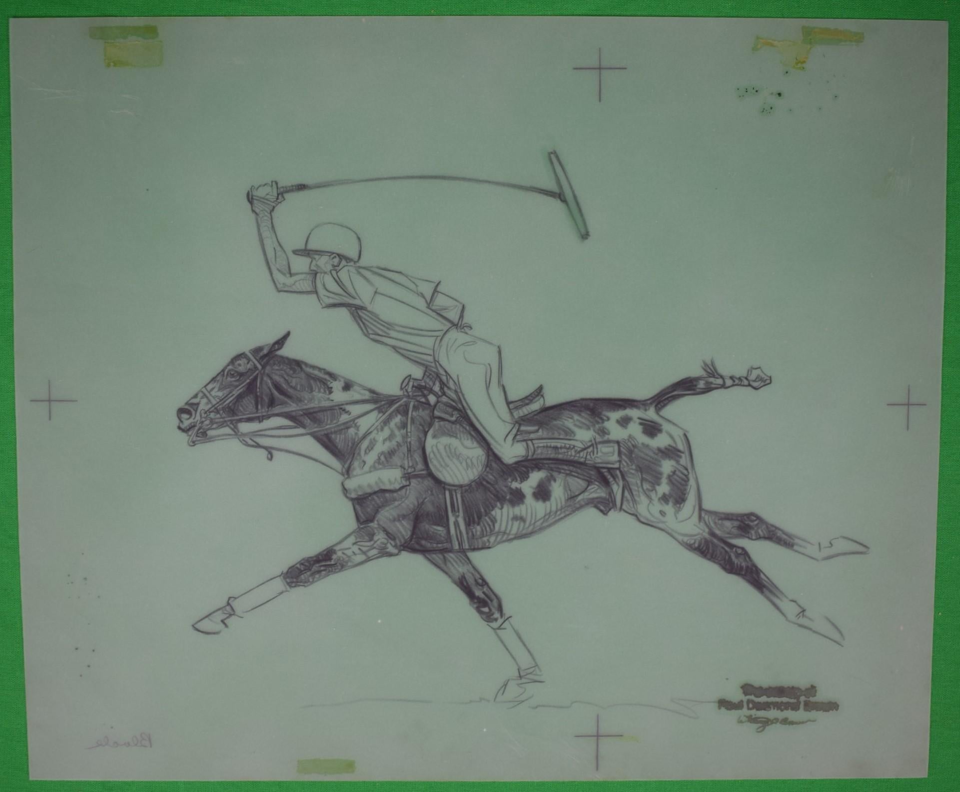 Paul Brown Polo crayon sur dessin en acétate 3 en vente 2