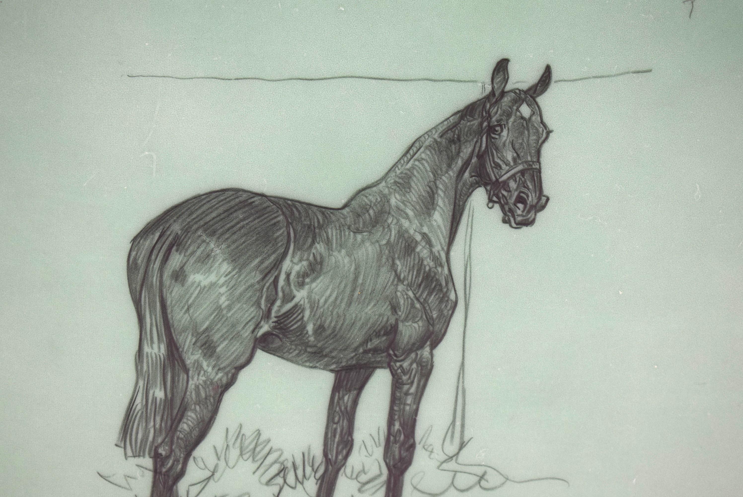 Paul Brown Polo Pencil On Acetate Drawing #15 For Sale 1