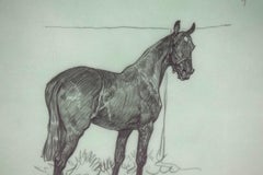 Paul Brown Polo Pencil On Acetate Drawing #15