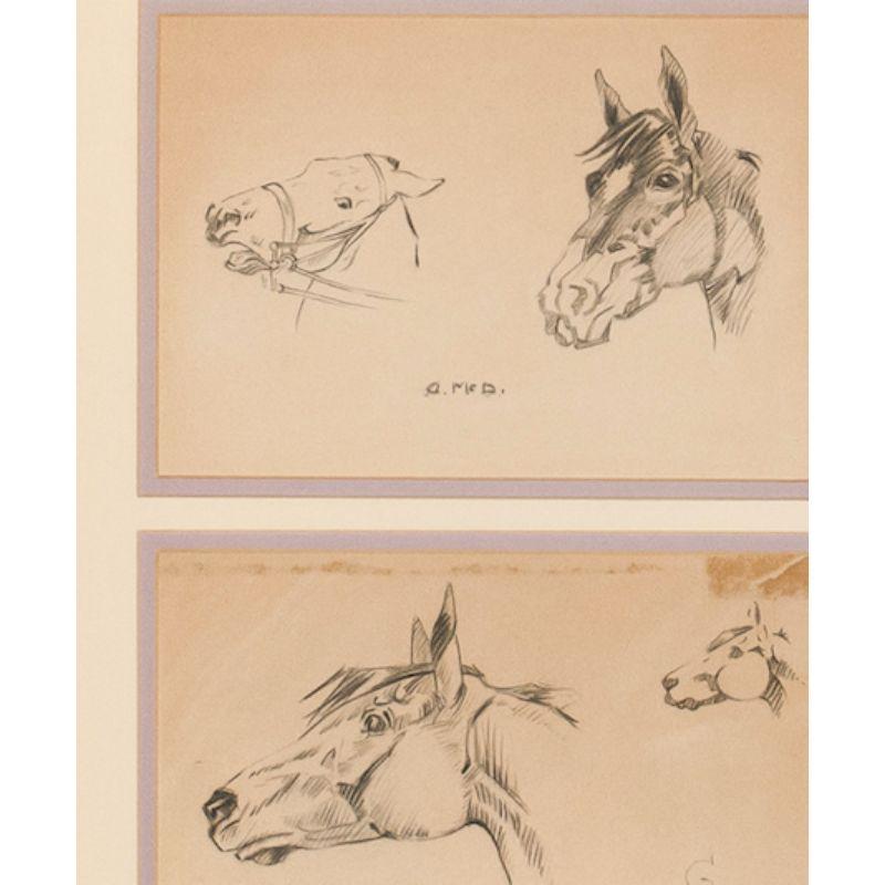 Classic Munnings-esque study of horse horseheads 

c1950

Art Sz: 12