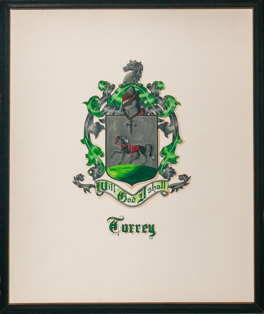 Escudo clásico Turrey 