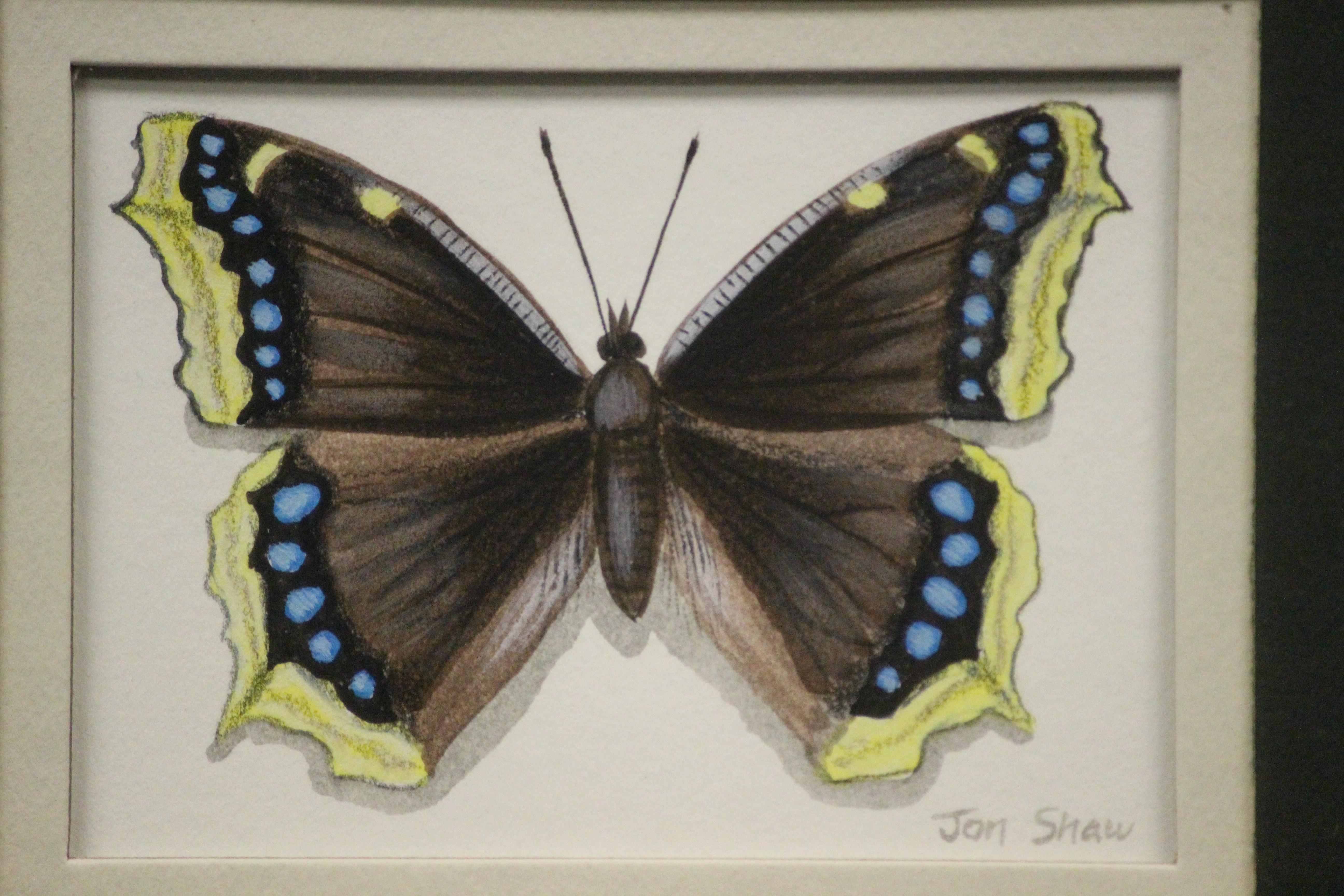 Delightful watercolour depicting four butterflies each pencil signed: Jon(athan) Shaw (LR)

Art Sz: 6