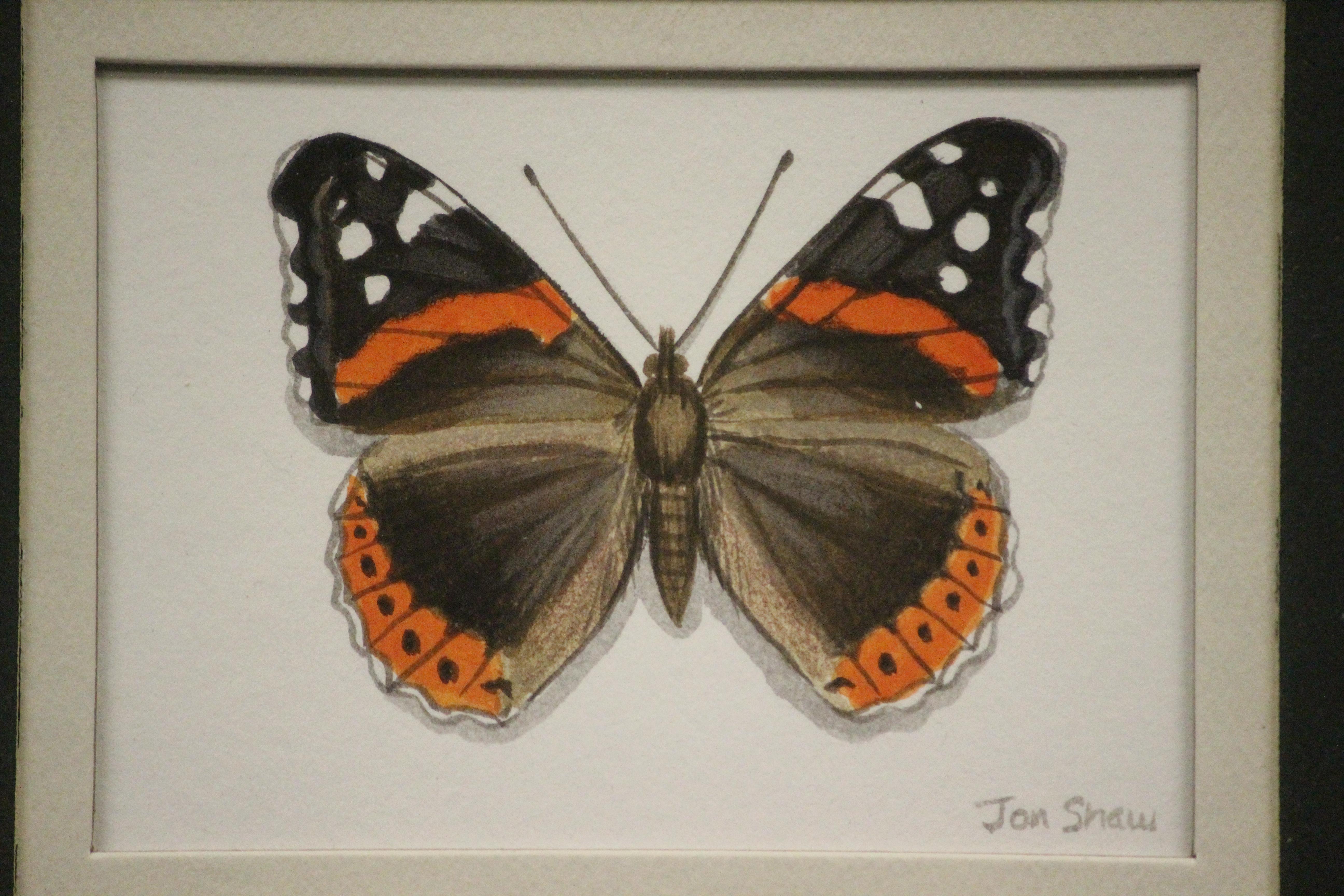 Délicieuse aquarelle représentant quatre papillons, chacun signé au crayon : Jon(athan) Shaw (LR)

Art Sz : 6 