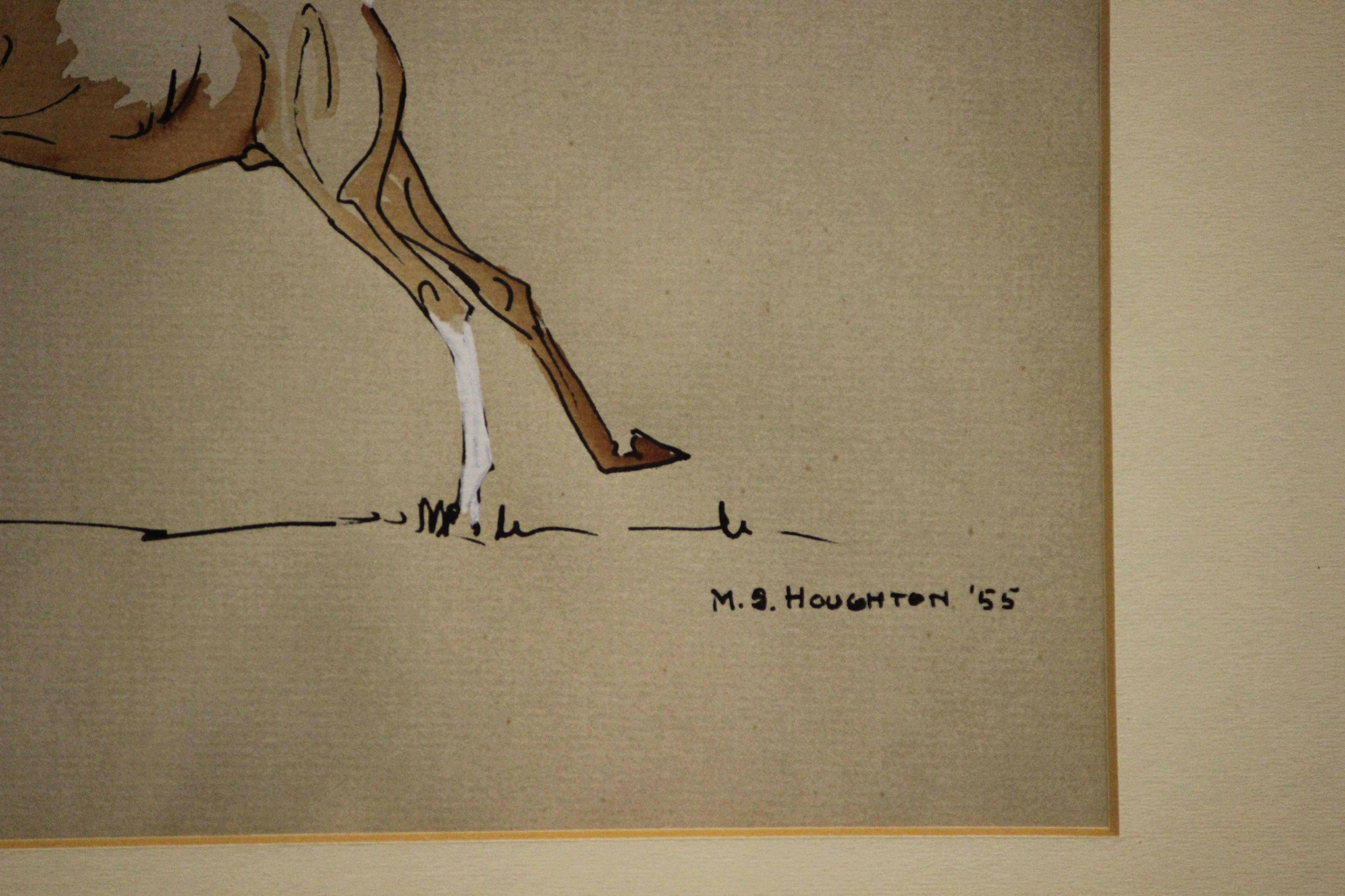 Charming watercolour w/ gouache highlights depicting a playful colt signed M.S. Houghton & dated (19)55 (LR)

Art Sz: 8 3/4